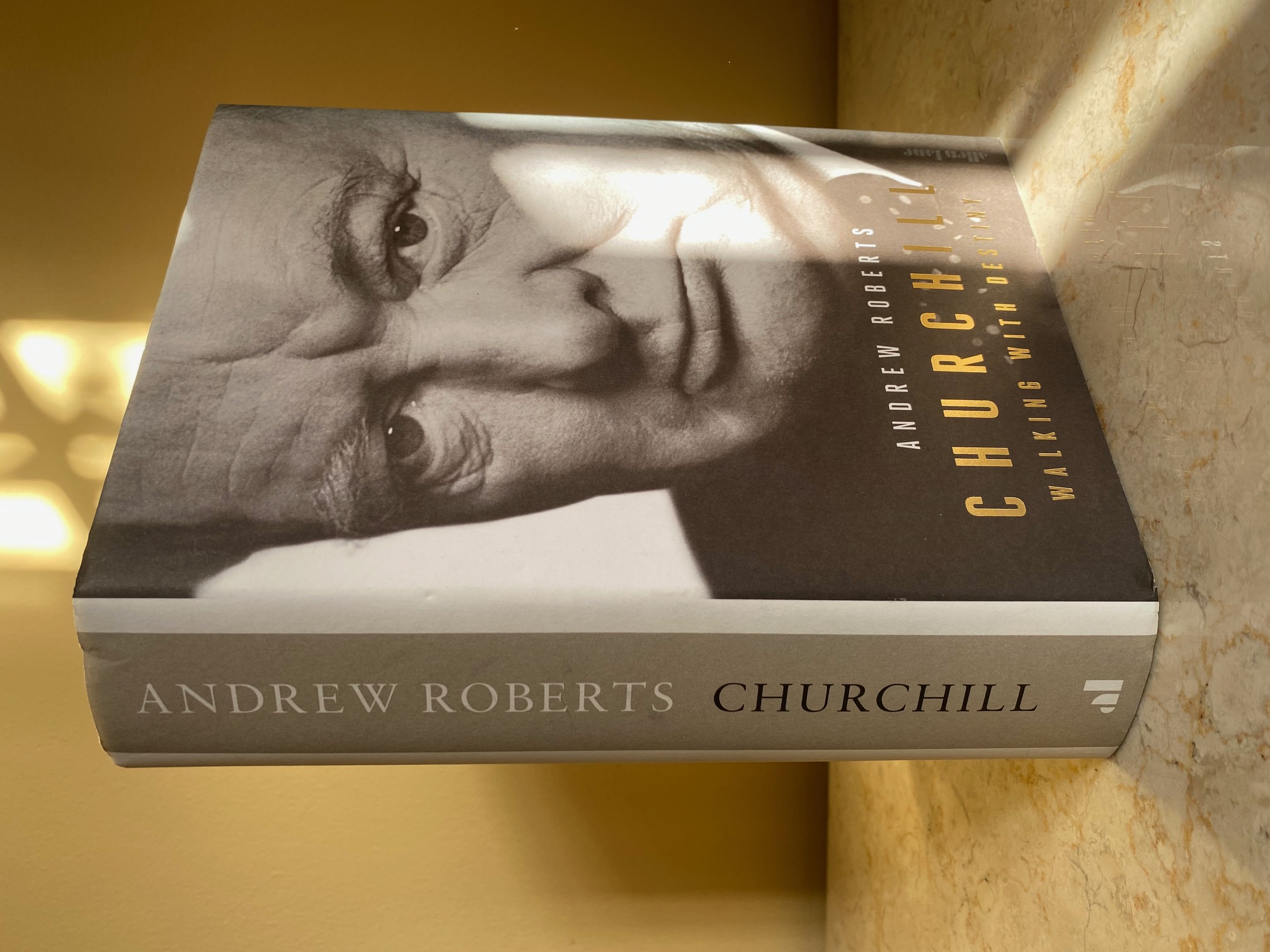 Churchill | Walking with Destiny