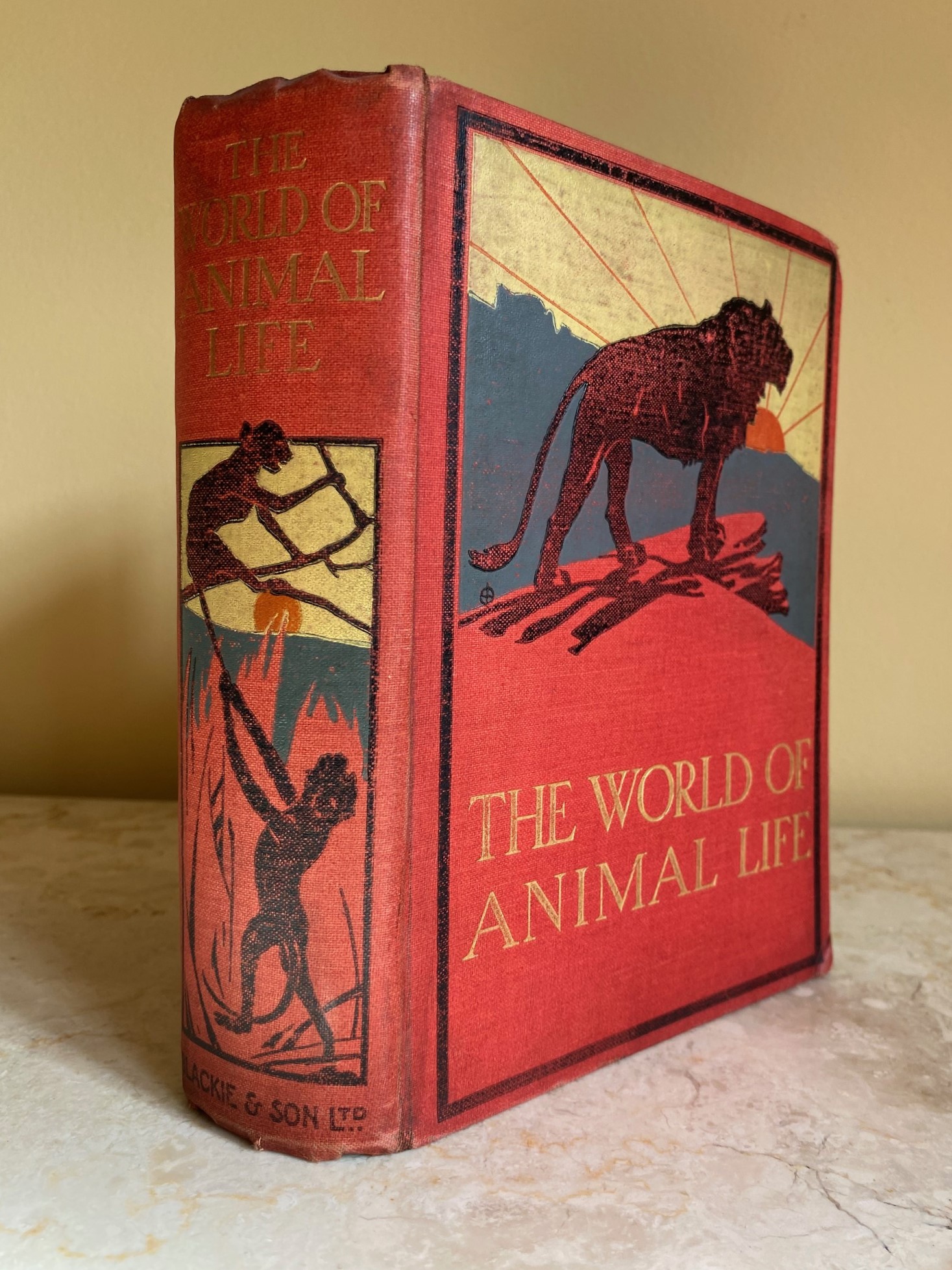 The World of Animal Life