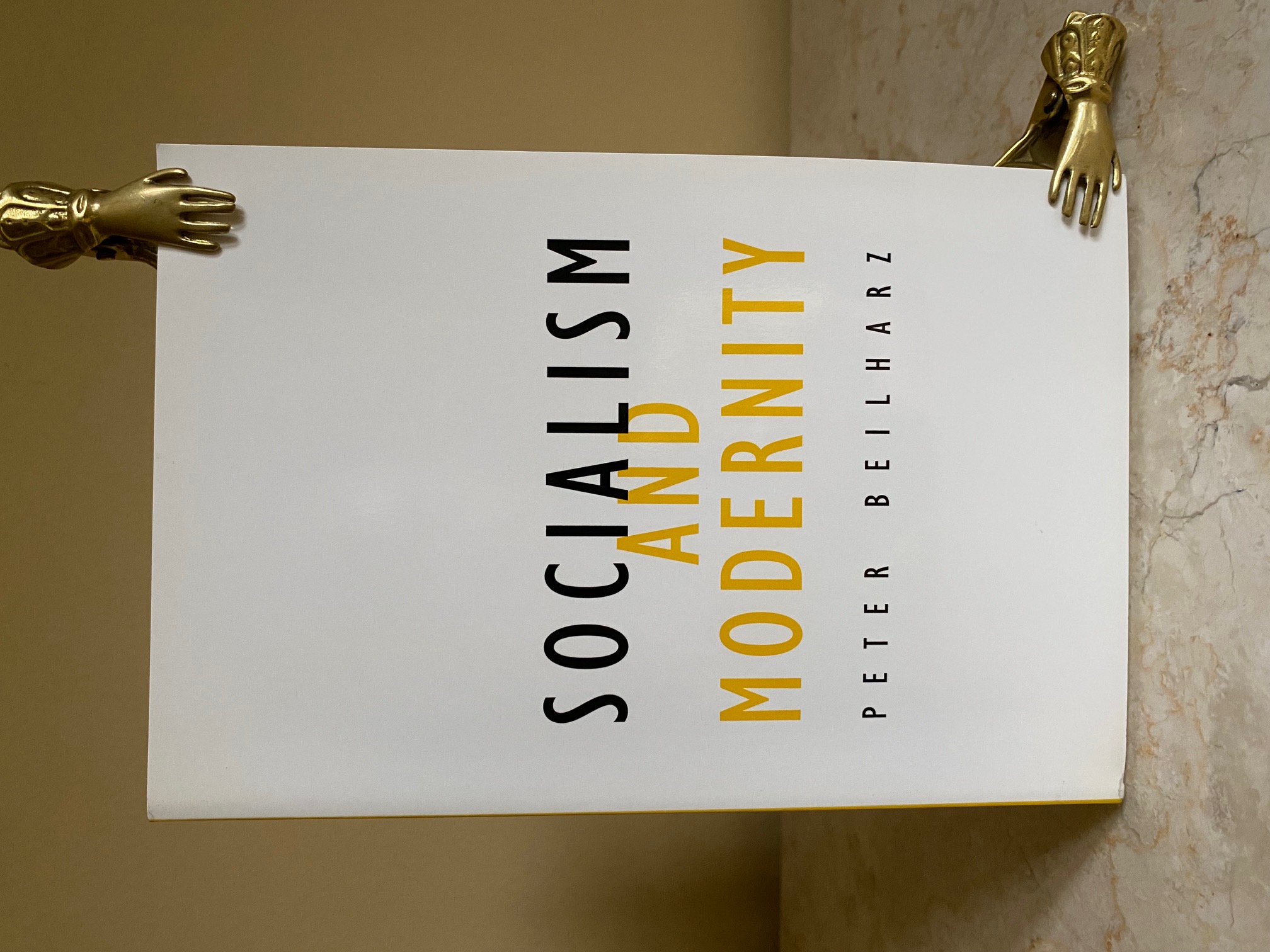 Socialism and Modernity | Contradictions Volume 24
