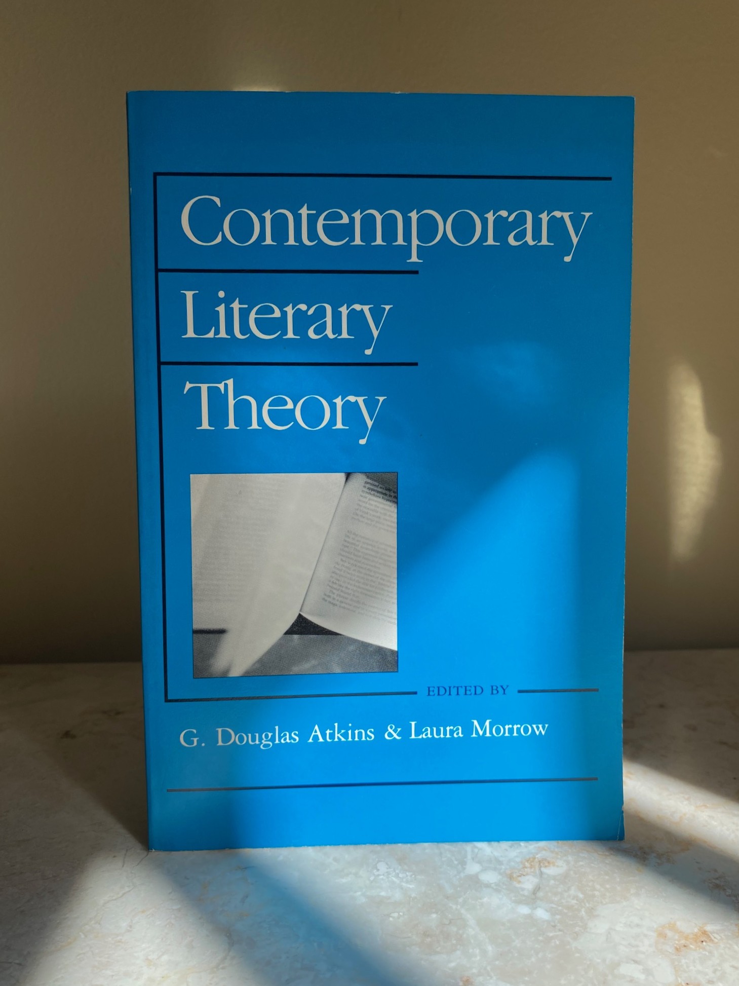 Contemporary Literary Theory | 12 Essays